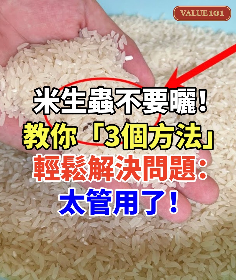 米生蟲不要曬！米店老闆教我「3個方法」~輕鬆解決問題：太管用了