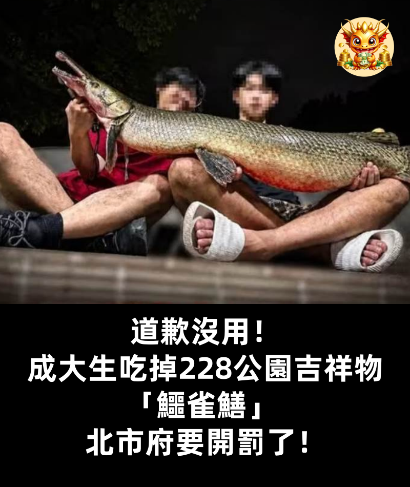 道歉沒用！成大生吃掉228公園吉祥物「鱷雀鱔」 北市府要開罰了！