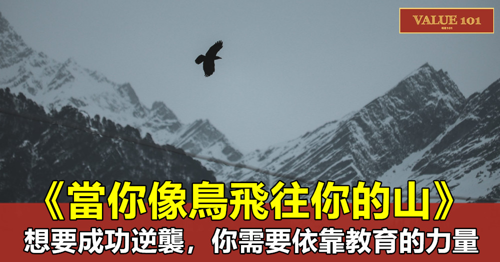 《當你像鳥飛往你的山》：想要成功逆襲，你需要依靠教育的力量