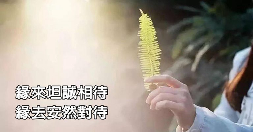 寧可孤獨，也不違心，緣來坦誠相待 緣去安然對待