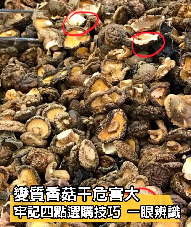 變質香菇干危害大，牢記4點選購技巧，一眼就能辨識，老板不敢糊弄你