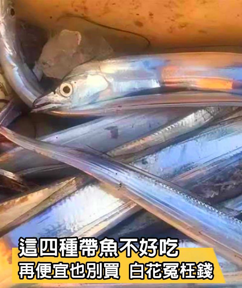 這4種帶魚不好吃，再便宜也別買，白花冤枉錢，老板：遇見內行了