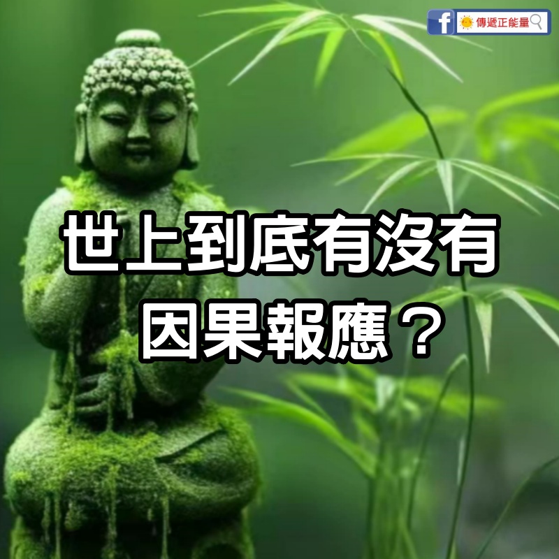 世上到底有沒有因果報應？