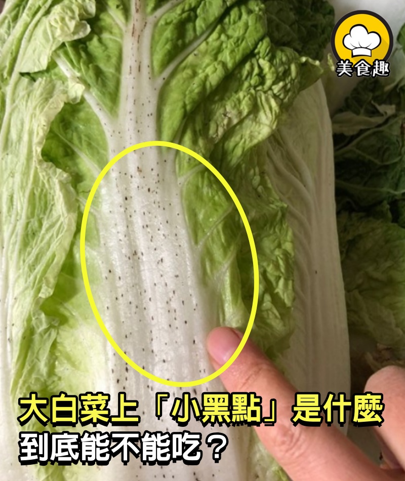 大白菜上的「小黑點」是什麼？到底能不能吃？今天總算弄清楚了！ 