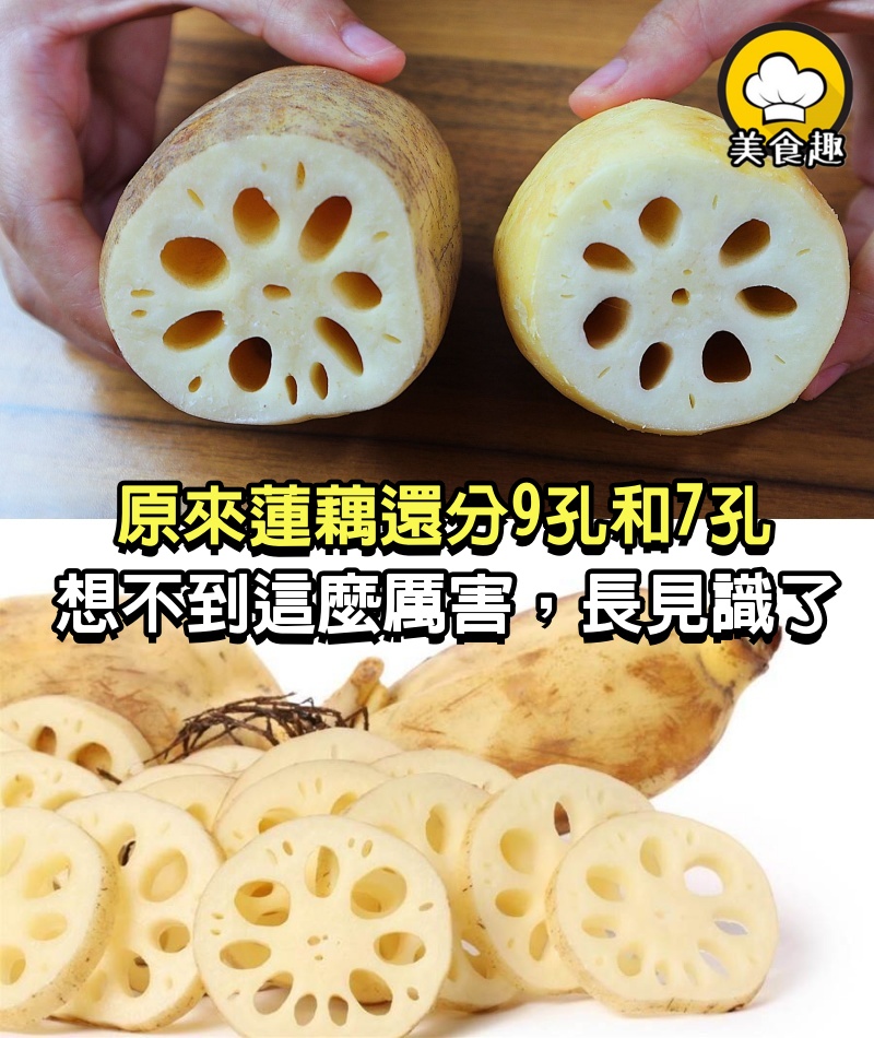 原來蓮藕還分9孔和7孔，想不到這麼厲害，很多人都不懂，長見識了