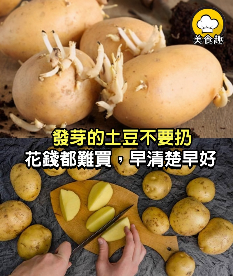 發芽的土豆不要扔，留家里作用花錢都難買，太多人不懂，早清楚早好