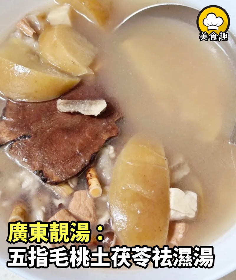 廣東靚湯 ：五指毛桃土茯苓祛濕湯！濕氣排光光！
