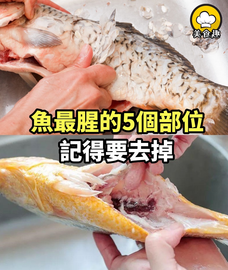 才知道，魚最腥的5個部位，記得要去掉，好多人不懂，難怪不好吃