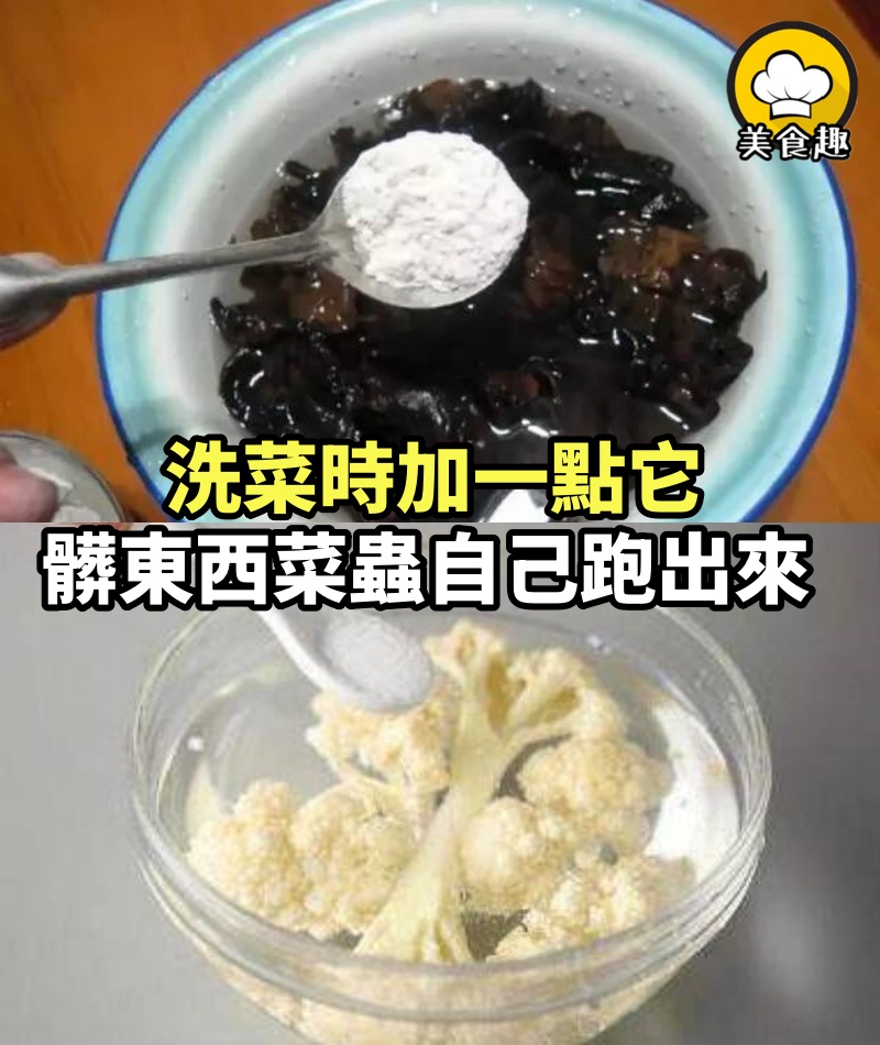 洗菜時加一點它，髒東西、菜蟲自己跑出來！ 以前都白洗了，趕快學起來