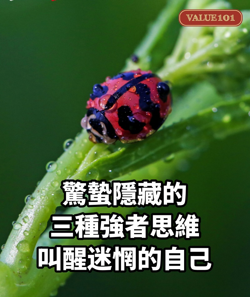 驚蟄隱藏的三種強者思維，叫醒迷惘的自己