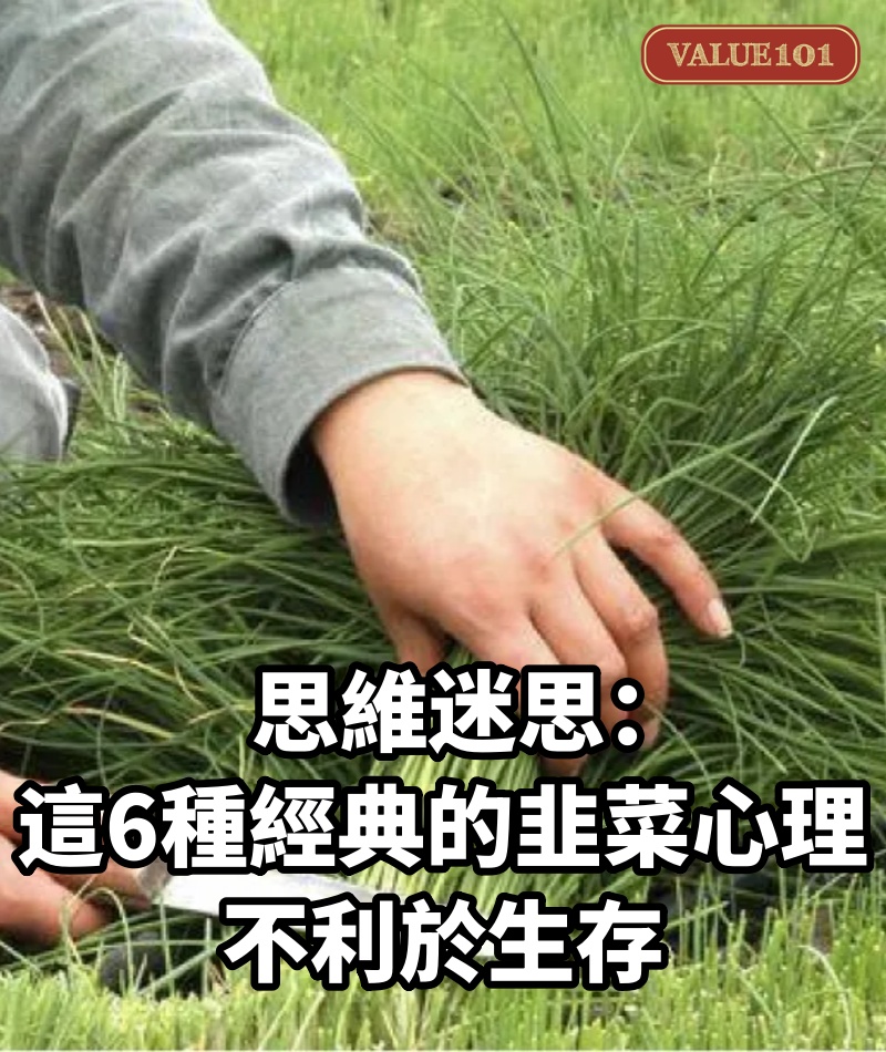 思維迷思：這6種經典的“韭菜心理”，不利於生存