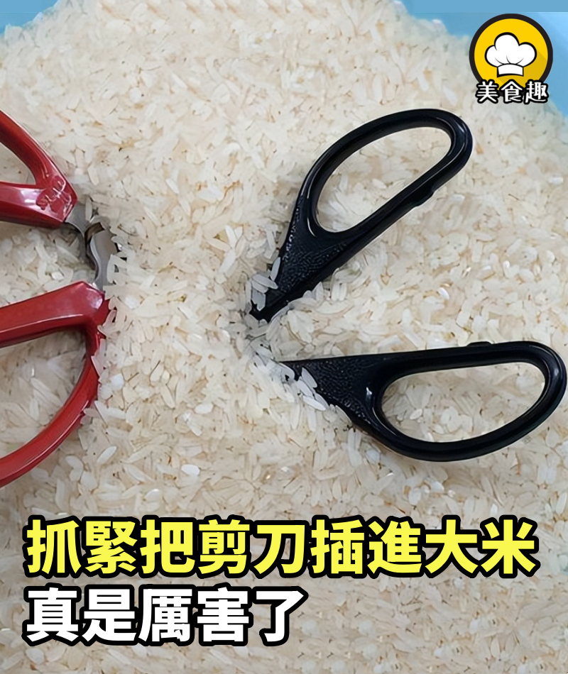 抓緊把剪刀插進大米，真是厲害了，一年省下好幾百，看完快去試試