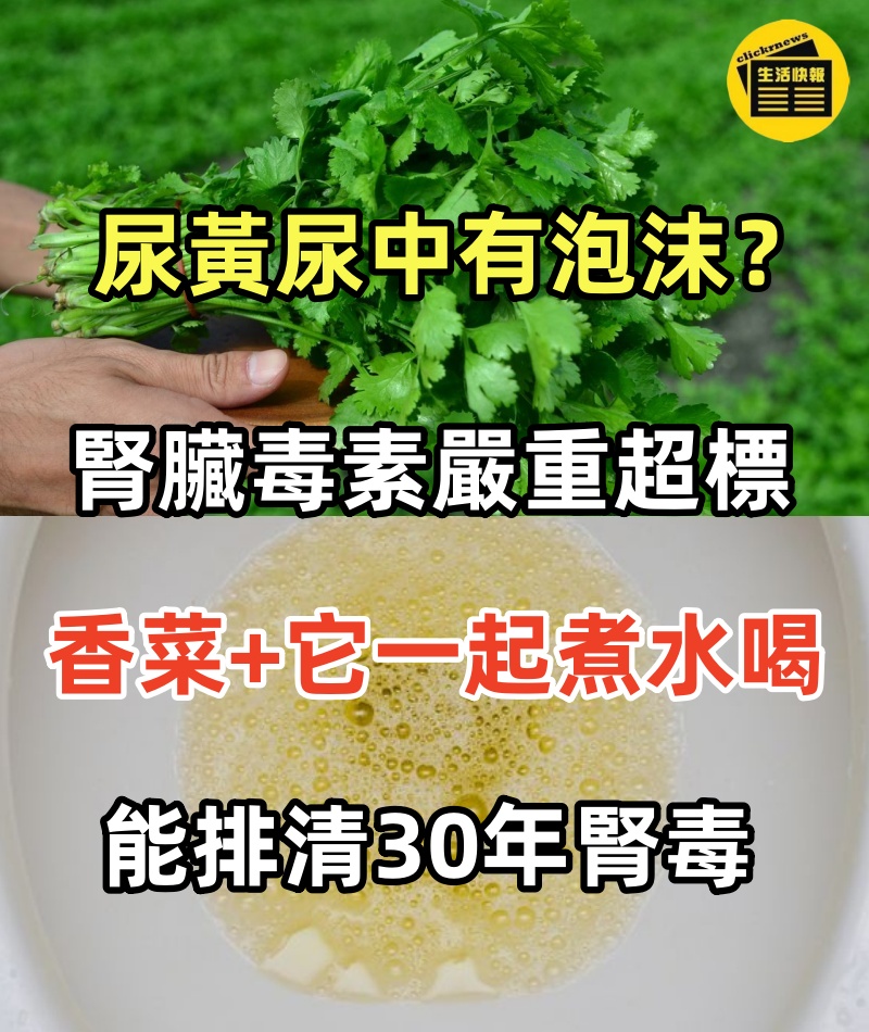 尿臭尿黃尿中有泡沫？ 那是腎臟毒素嚴重超標了！ 香菜加它一起煮水喝，一次就能排清30年腎毒，讓你腎臟年輕30歲!