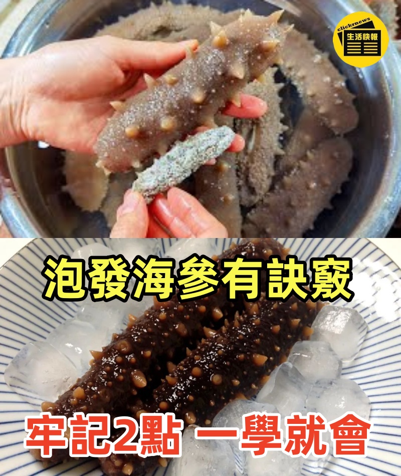 泡發海參有訣竅，牢記2點，一學就會，太實用了