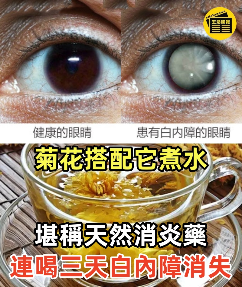 菊花搭配它煮水，堪稱「天然消炎藥」，連喝三天，老花眼、白內障、青光眼全消失，三高平穩，腰背也不痛了