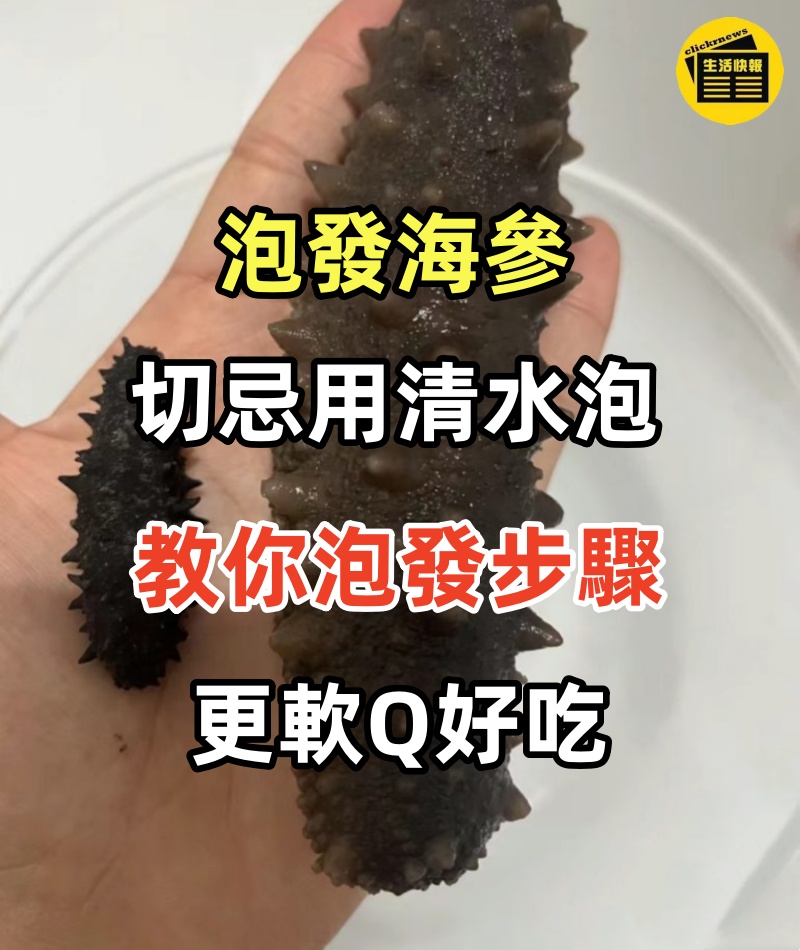 泡發海參，切忌用清水泡，60歲老漁民分享經驗，大又軟0失敗