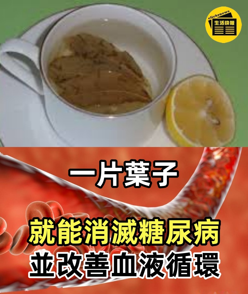 一片葉子就能消滅糖尿病、高血壓，消除全身疼痛、膽固醇，並改善血液循環