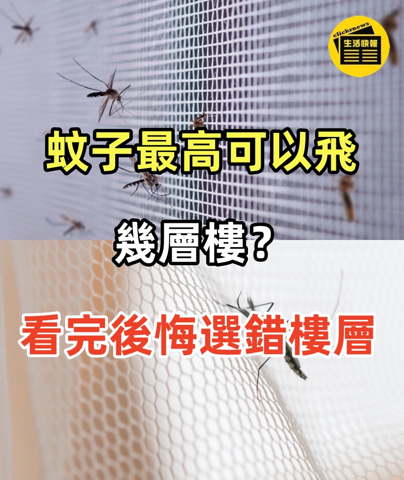 蚊子最高可以飛幾層樓？聽完老師傅說的後，網友感嘆選錯了樓層