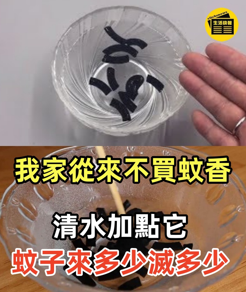 我家從來不買蚊香，清水加點它，放房間一晚，蚊子來多少滅多少