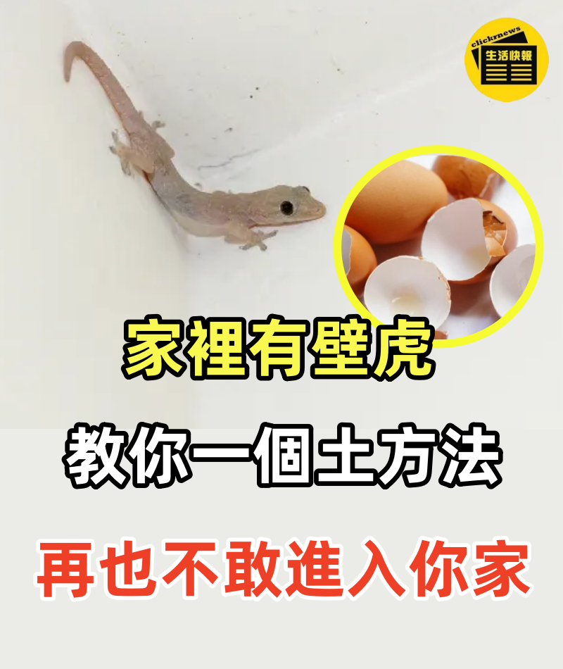 家裡有壁虎，千萬別把它打死!!! 教你一個土方法，家裡的壁虎全部自然消失!!! 壁虎再也不敢進入你家裡了