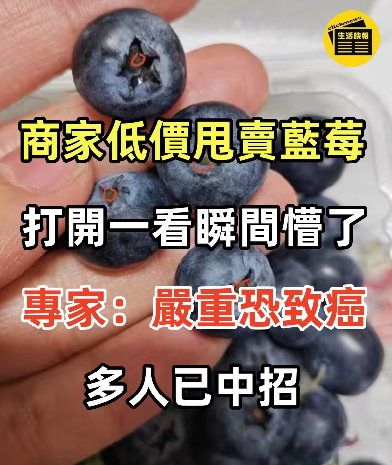 商家「低價甩賣」藍莓!!! 打開一看瞬間懵了，專家：嚴重恐致癌，多人已中招
