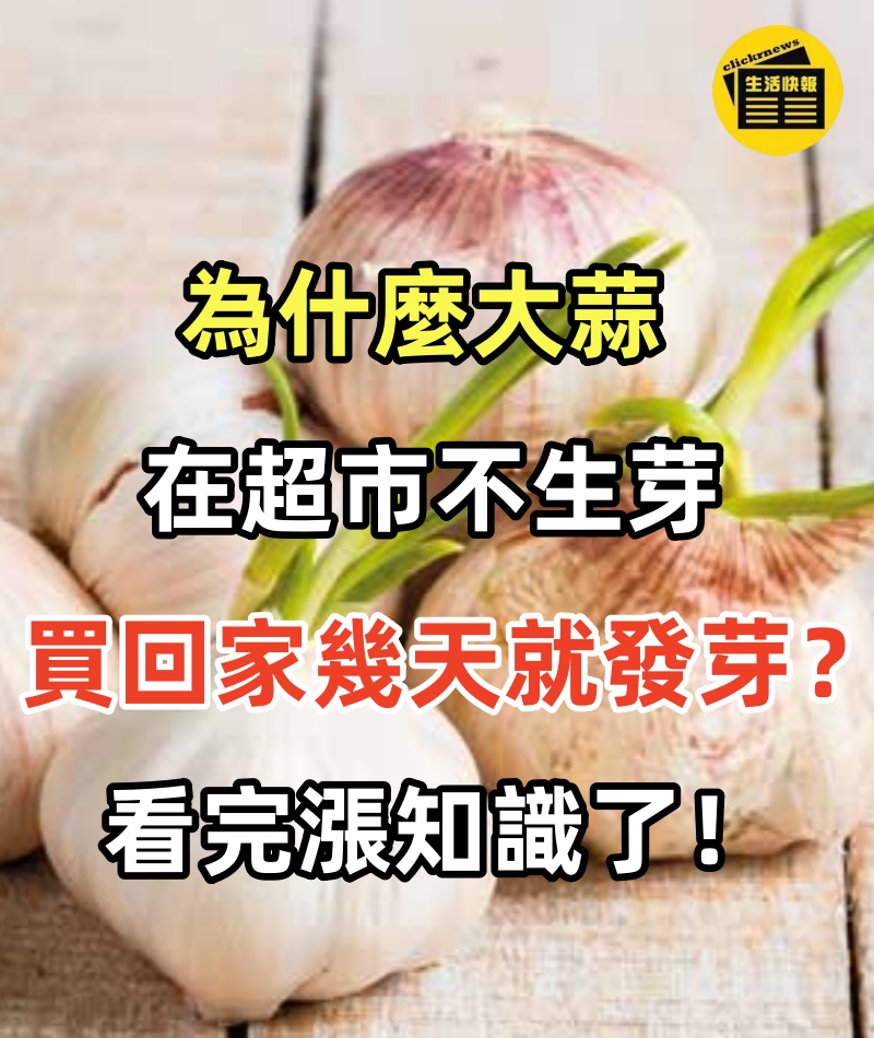 為什麼大蒜在超市不生芽，買回家幾天就發芽？看完漲知識了！