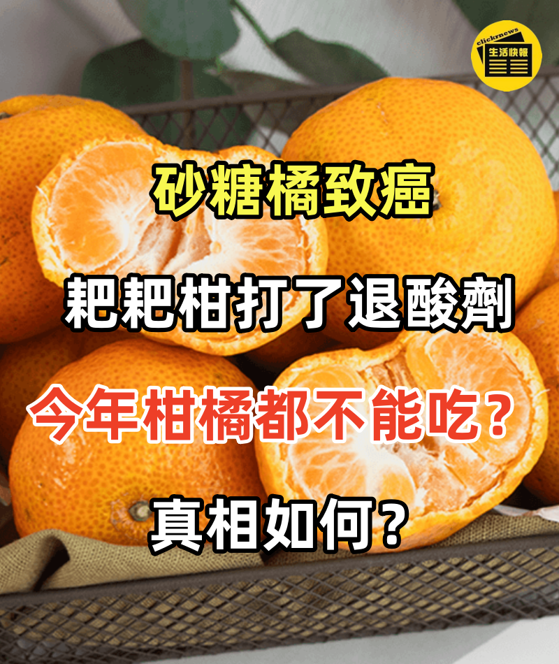 砂糖橘致癌、耙耙柑打了退酸劑？今年柑橘都不能吃了？ 真相如何？